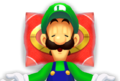 Luigi sleeping