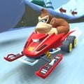Donkey Kong racing down DS DK Pass