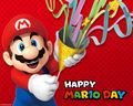 Mario Day Desktop Wallpaper.jpg
