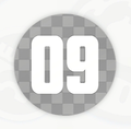 09