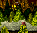 The level in the Game Boy Color version