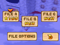SM64DS-Completion File.png