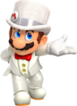 Mario in his wedding outfit