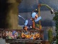CooKooBird.jpg