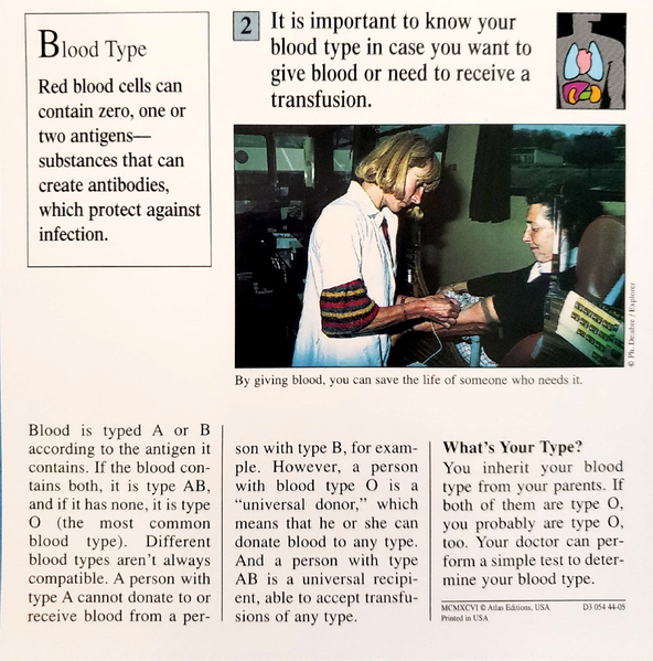 File:Dr mario peach blood type mario quiz card back.png