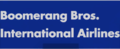 A Boomerang Bros. International Airlines logo from Mario Kart 8