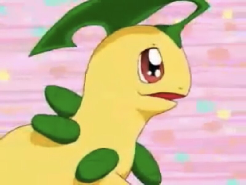 File:Shroom229 Bayleef.jpg