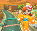 Wii Daisy Circuit from Mario Kart Tour