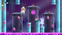 The second 10-flower coin in Swamp Pipe Crawl in Super Mario Bros. Wonder