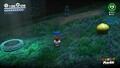 Using Assist Mode in the Deep Woods