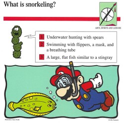 A card from Mario Quiz Cards