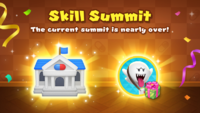 End of the eleventh Skill Summit