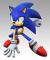 The fastest hedgehog in the world