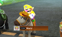 Wario riding on a horse in Pro difficulty from Mario Sports Superstars