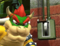 Bowser gets electrocuted after activating the switch.