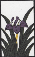 Third card of May in the Club Nintendo Hanafuda deck.