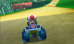 Toad racing on the course