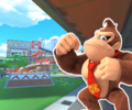 The course icon of the R variant with Donkey Kong