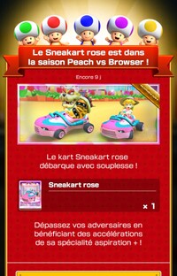 MKT Tour110 Special Offer Pink Sneeker FR.jpg
