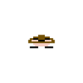 Squished Goomba ( 20)