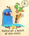 "Pulled off a bunch of sick tricks." discovery from Snurfboard Habitat in Yoshi and the Mysterious Book