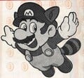 Artwork of Racoon Mario with a Coin background
