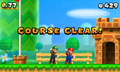 Mario and Luigi clearing a level.