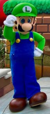 Super Nintendo World Luigi