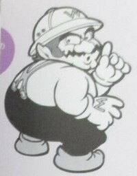 Wario ssh.jpg