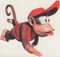 Donkey Kong Country
