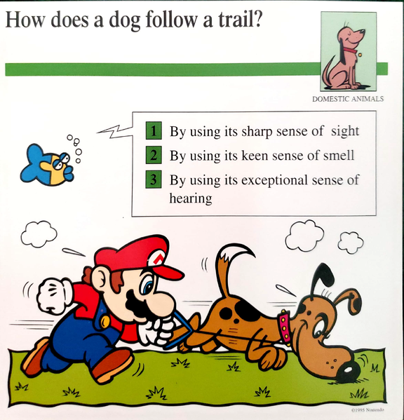 File:Dog trail quiz card.png