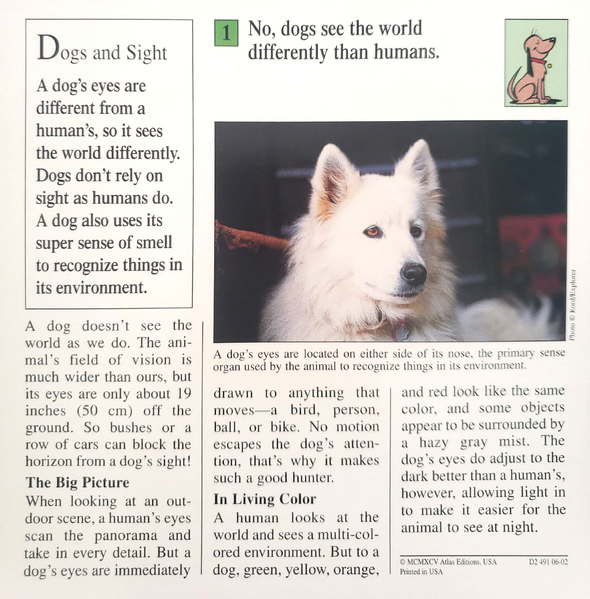 File:Dog vision quiz card back.png
