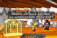 Funky's Rentals DKC3 GBA.png