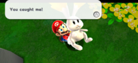 Mario finally catches the rabbit