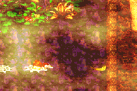 Web Woods DKC2 GBA Golden Feather.png