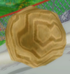 A Boulder from Mario Kart Wii