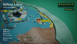 Where to find a Bloomintone