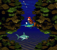 Diddy Kong on Enguarde the Swordfish, with Donkey Kong in tow above a Chomps in Coral Capers