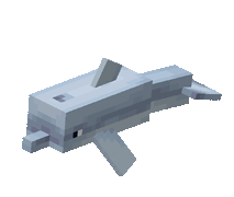 Minecraft Dolphin.gif