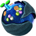 Artwork from Super Mario Galaxy + Super Mario Galaxy 2