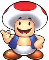 Toad, as shown in the DiC television cartoons, "The Super Mario Bros. Super Show" and "The Adventures of Super Mario Bros. 3". This is not his proper color scheme in the cartoons, but it is his proper color scheme in the game franchise.