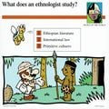 "What does an ethnologist study?"