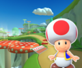 The course icon of the R variant with Toad