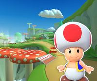 MKT Icon MushroomGorgeRWii Toad.png