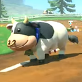 Cows, walking along Moo Moo Meadows[1]