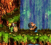 Donkey Kong Country 3: Dixie Kong's Double Trouble!: Kiddy Kong holding a  Steel Barrel at a Koin in Rocket Barrel Ride