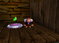 A setup for a Golden Banana for Chunky Kong in Fungi Forest.