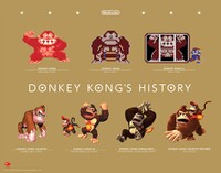 Donkey kong poster 1.jpg
