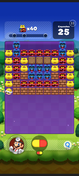 File:DrMarioWorld-Stage13-1.3.5.png