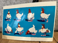 Early design for Drumstick